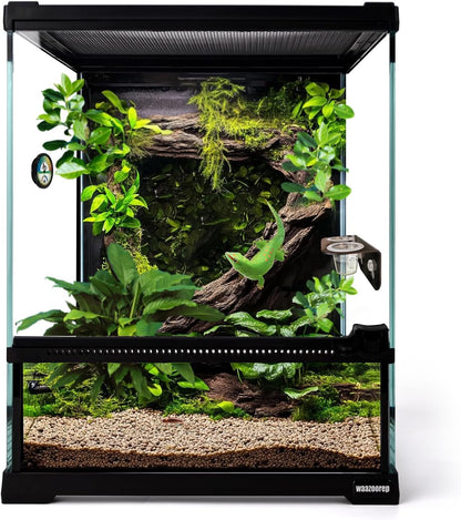 Mini Reptile Glass Terrarium Tank 8"*8"*10" Full View with Front Opening Door,Amphibians Enclosure