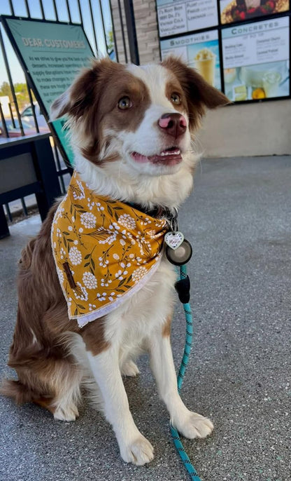 Lionet Paws Flower Dog Bandana,Fabric Yellow Dogs Kerchief for Small Medium Large Dogs,Dog Cotton