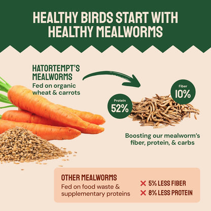 Dried Mealworms - 2 Lb Bag - High Protein Chicken Feed, Mealworms for Birds & Chickens - Meal Worms
