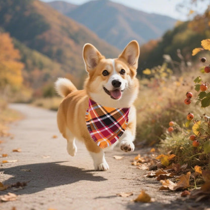 ADOGGYGO Fall Dog Bandana with Tassels Edges, Stylish Orange Plaid Pet Scarf, Multiple Size