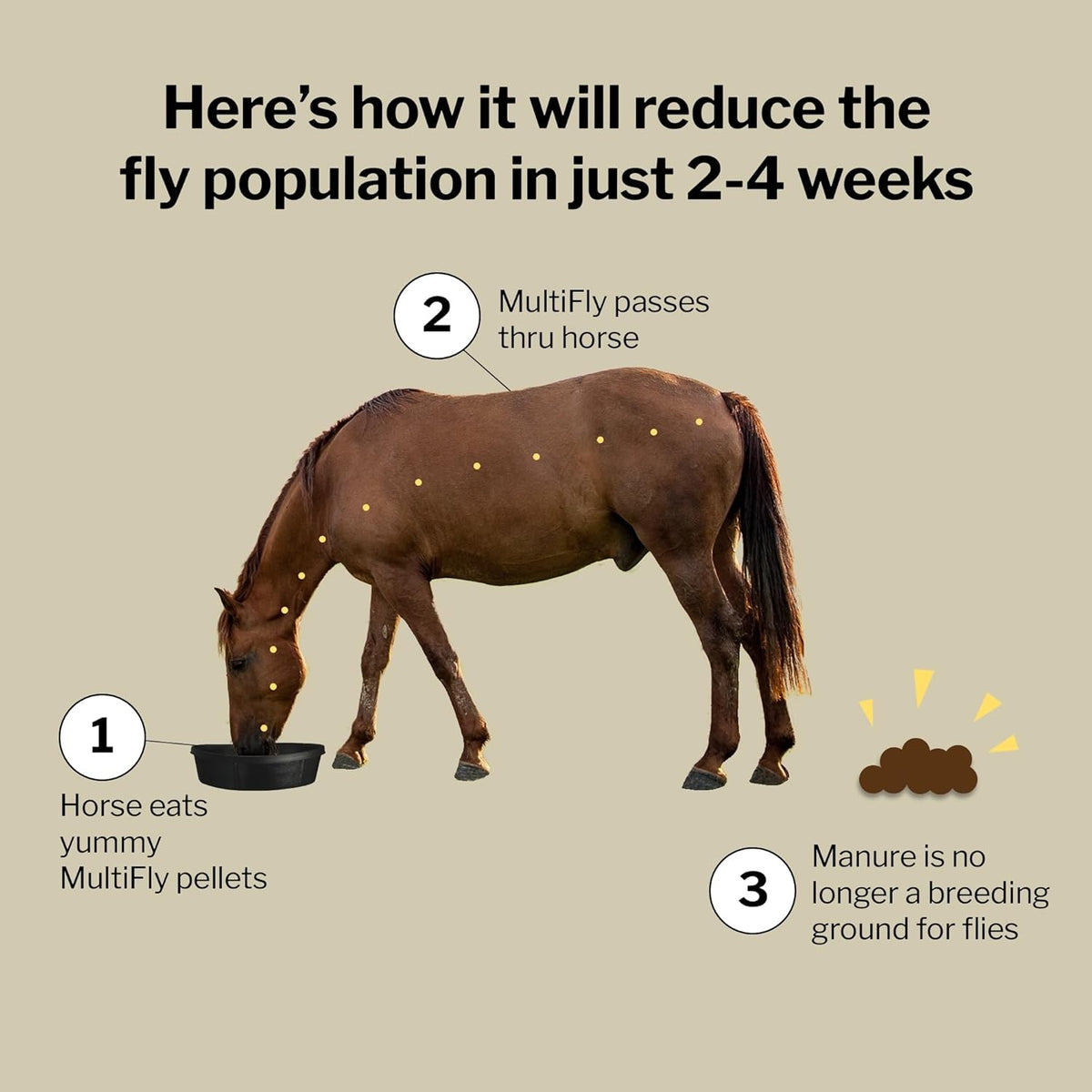 Formula 707 MultiFly Feed-Thru Fly Control Pellets for Horses - Palatable & Safe Fly Population