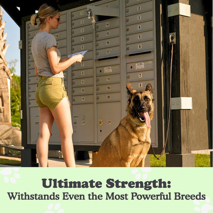 Canine Hitch- Secure Dog Leash Parking Mounted Indoor – Outdoor Wall Hook - Tie Out Stainless Steel