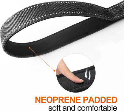 TwoEar 4FT 1IN Strong Black Dog Leash with 2 Padded Handles, Traffic Handle Extra Control