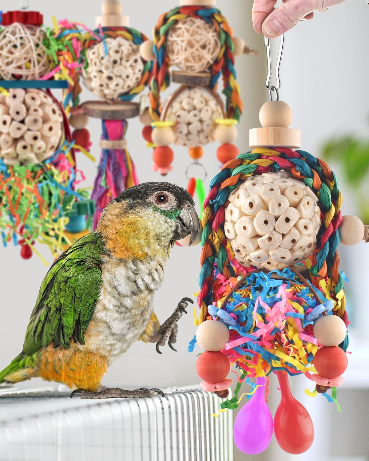 Bissap Conure Toys, 5 PCS Bird Foraging Shredder Hanging Swing Rope Perch Toys Sola Balls with Sand
