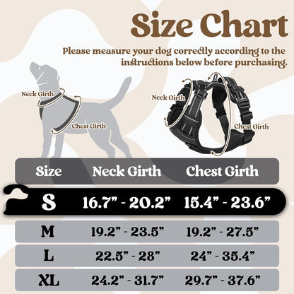 rabbitgoo Dog Harness Small Sized, No Pull Pet Harness with 3 Buckles, Adjustable Soft Padded Vest