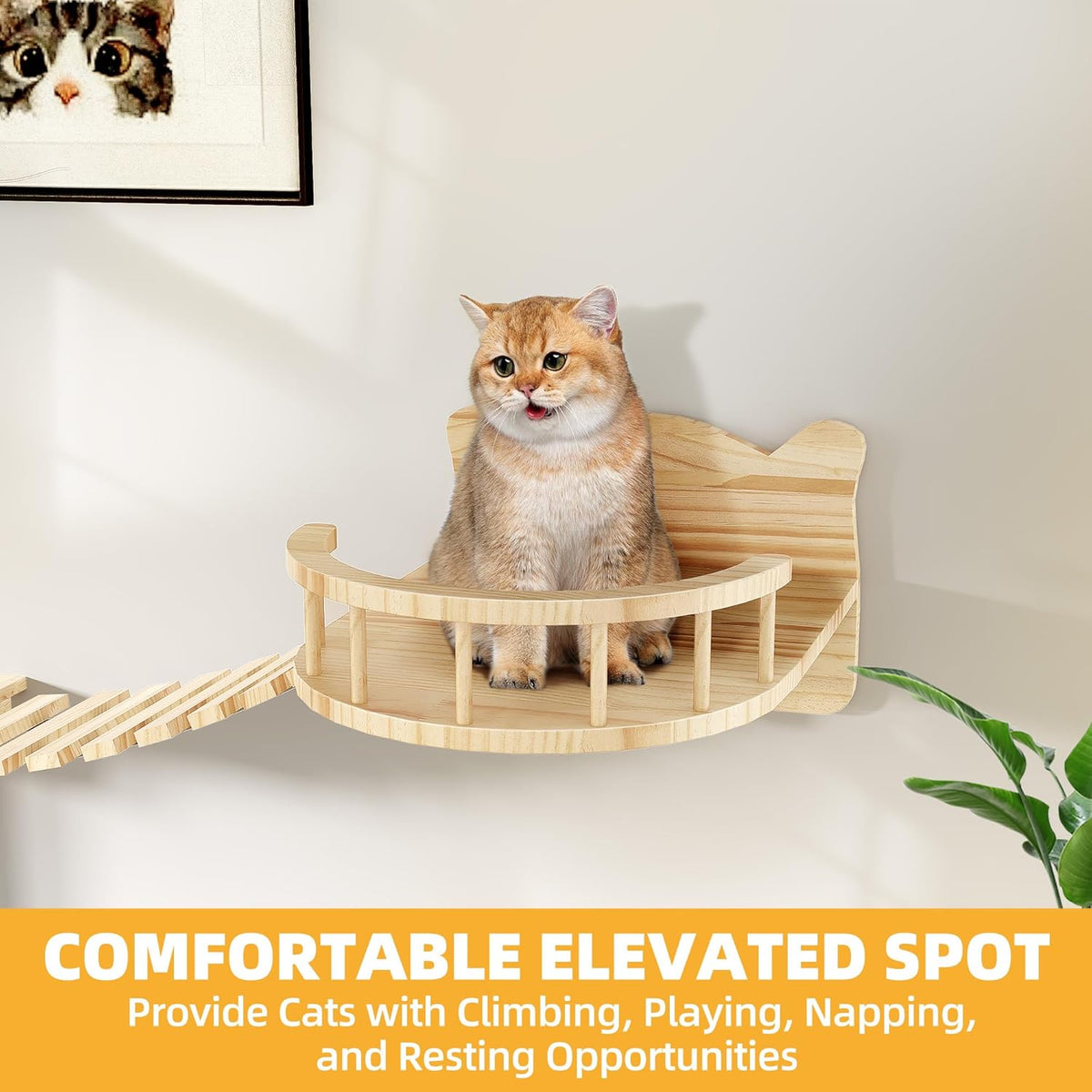 Cat Wall Shelves, Cat Wall Furniture Pine Wooden Feline Shelf, 18 Piece Feline Shelves and Perches