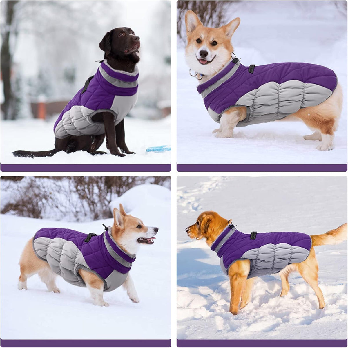 FUAMEY Dog Coat for Small Dogs,Waterproof Dog Winter Jacket with Harness Built in Puppy Cold
