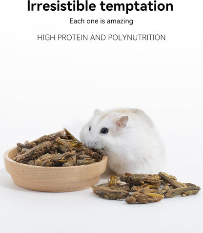 Niteangel Small Animal Snack & Treats - Small Critter Natural Treat for Dwarf Syrian Hamsters