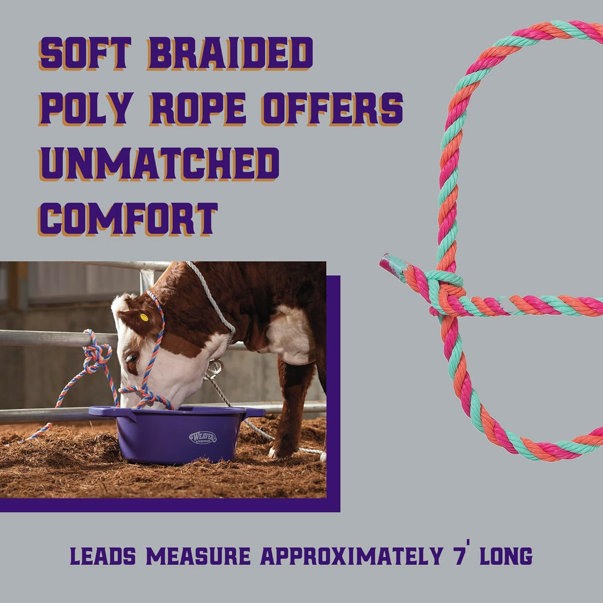 Weaver Livestock Braided Poly Rope Cattle Halter, Adjustable Style Cow Calf Halter, Livestock