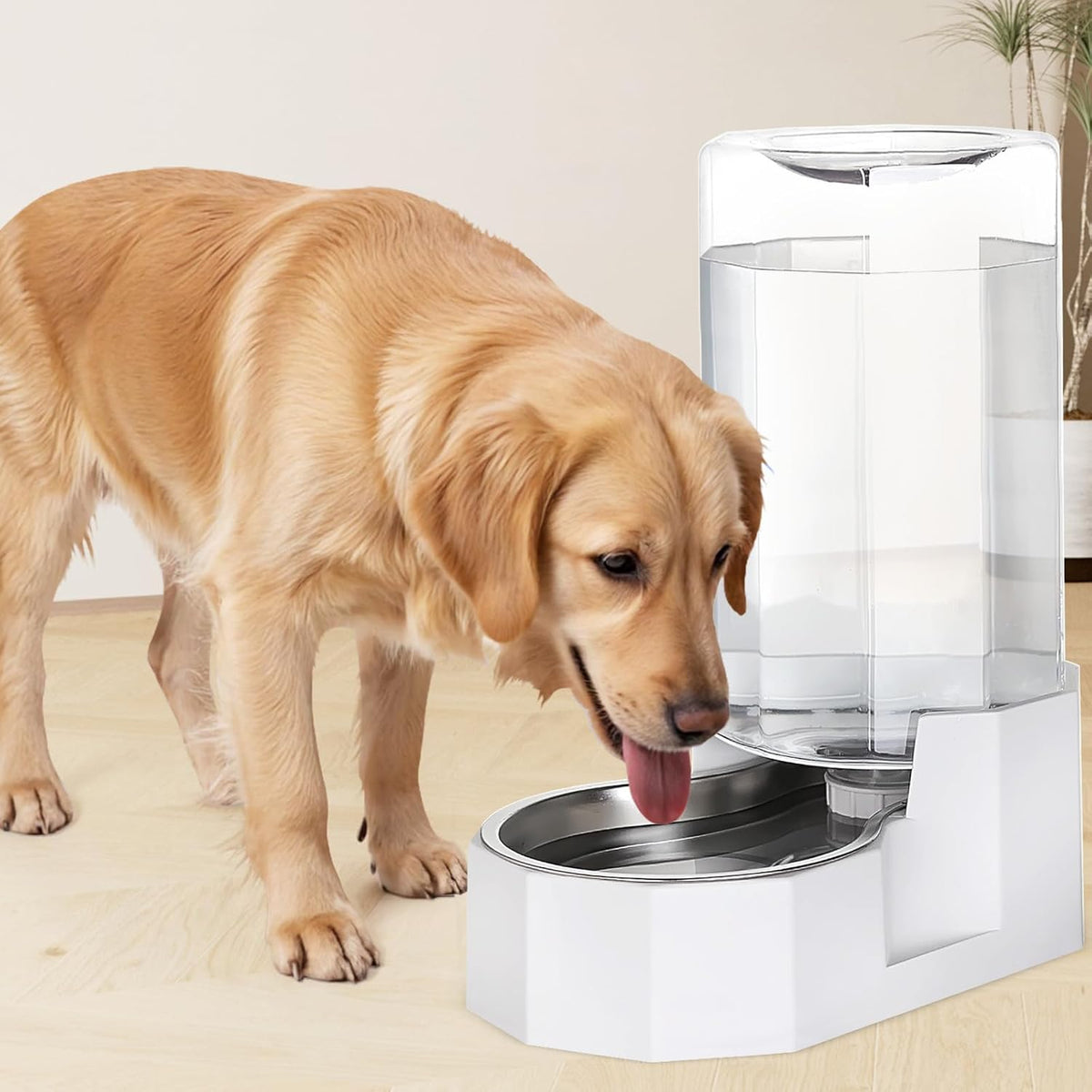 Sfozstra Large Dog Water Dispenser: 8L Automatic White Water Feeder with Stainless Steel Bowl
