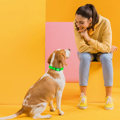 Dogline Biothane Waterproof Dog Collar Strong Coated Nylon Webbing with Black Hardware Odor- Proof