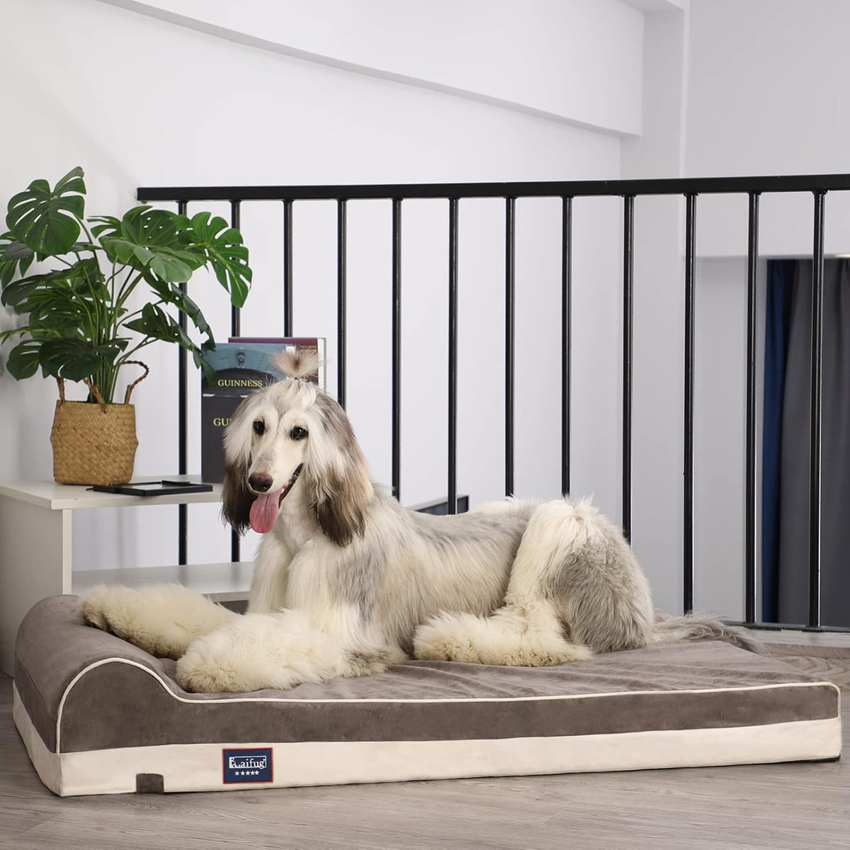 Laifug Orthopedic Memory Foam Extra Large Dog Bed with Pillow and Durable Water Proof Liner &