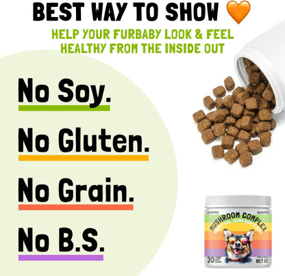 Mushroom Complex Treats for Dogs with Reishi, Shiitake, and Turkey Tail Mushrooms for Cognition and