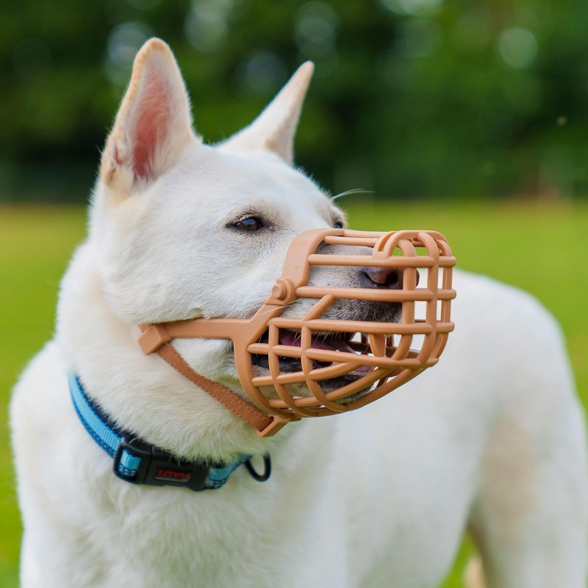 Baskerville Classic Basket Muzzle - Dog can Pant and Drink, Prevents Biting and Food Waste
