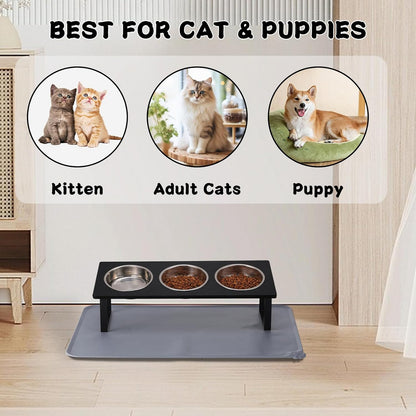 Upgraded Elevated Cat Bowls with Food Mat,15°Tilted Stand Anti Vomiting Raised Cat Dishes for Food