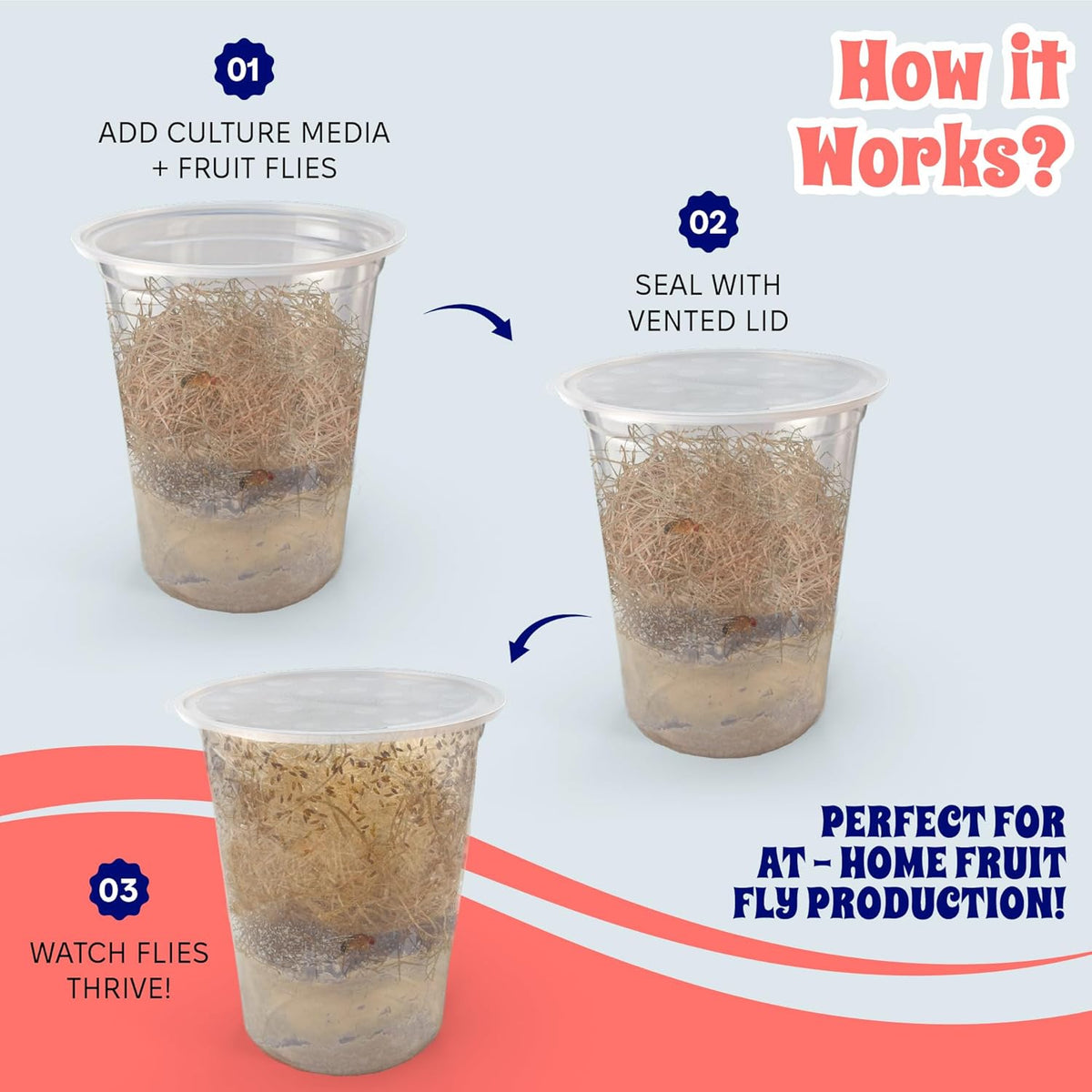 Snout and Shell Deli Cups with Fabric Vented Lids, 10 Pack - Secure Fruit Fly & Insect Cultures