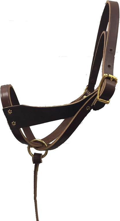 Leather Figure 8 Foal Halter | Newborn, Foal, Mini Pony Halter | Brown with Removable Grab Strap