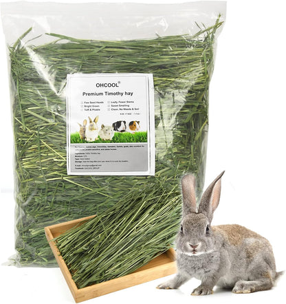 Timothy Hay 1.1LB - Dust Free Natural Green Fresh Food Hay for Rabbits Tortoise Guinea Pig