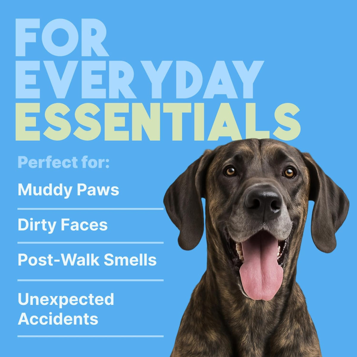 TropiClean Hypoallergenic Cleaning Pet Wipes, 100ct - Wipes for Dogs, Cats, Puppies & Kittens with