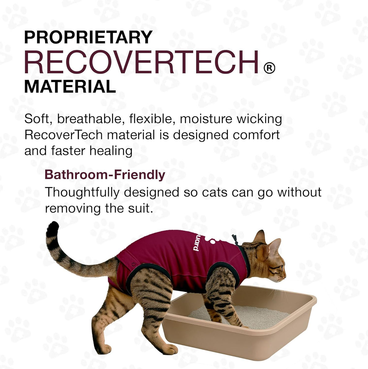 Bellyguard Cat Recovery Suit Female and Male, Comfy Onesie After Surgery, Kitten Clothes for