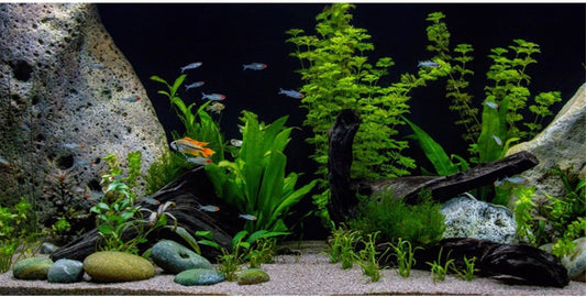 AWERT Vinyl Underwater Aquatic Plant Fish Tank Background Stone River Bed & Lake Aquarium