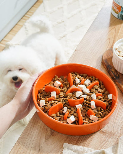 LE TAUCI Dog Bowls Slow Feeder Ceramic, 1.5 Cups Slow Feeding Dog Bowl Small Medium Breed, Puppy