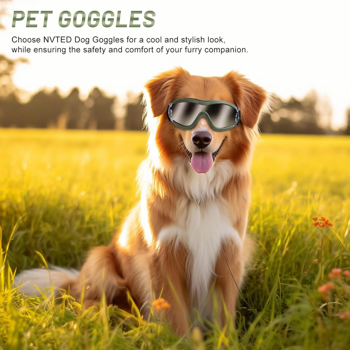 NVTED Dog Sunglasses Goggles, UV Wind Dust Fog Protection Pet Glasses Eye Wear Protection with