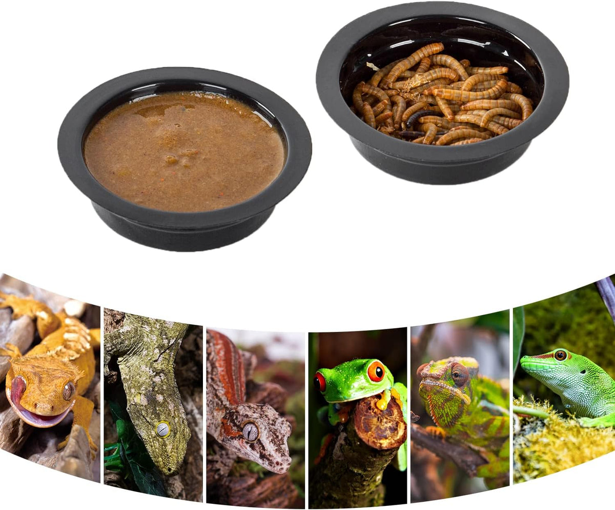 WACOOL Magnetic Reptile Ledge, Acrylic Gecko Feeding Ledge with 6PCS Cups, Reptile Food Water