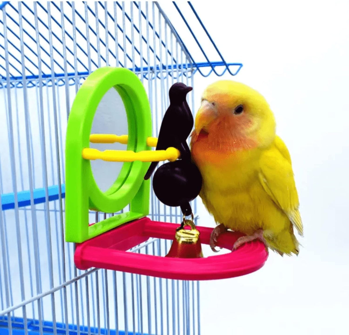 Bird Mirror for Cage, Bird Mirror Toy with Paddle Wheels and Perch, Bird Hanging Training Toys for
