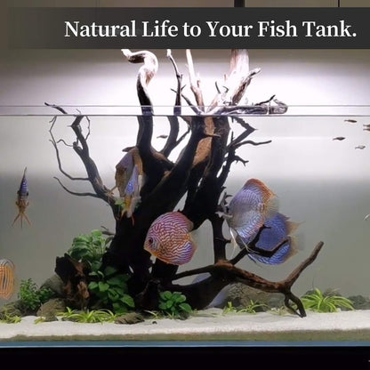 majoywoo Natural Coral Driftwood for Aquarium Decor Fish Tank Decorations, Assorted Driftwood