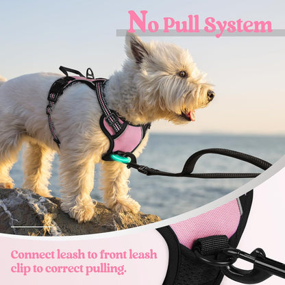 rabbitgoo Dog Harness No Pull with 2 Leash Clips, Adjustable Soft Padded, Reflective Oxford No