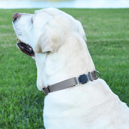Dogline Biothane Waterproof Dog Collar with Herm Sprenger Stainless Steel Quick Release Buckle