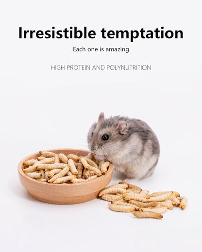 Niteangel Small Animal Snack & Treats - Small Critter Natural Treat for Dwarf Syrian Hamsters