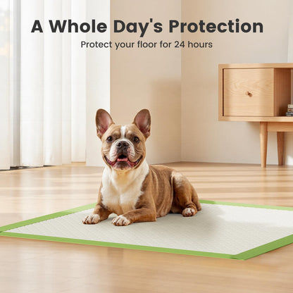 Gardner Pet Dog Pee Pads Rugular 22"x22", Thicker ECO Green Small Disposable Puppy Training Pads