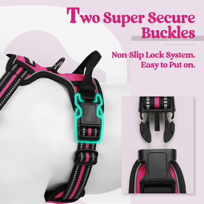 rabbitgoo Dog Harness No Pull with 2 Leash Clips, Adjustable Soft Padded, Reflective Oxford No