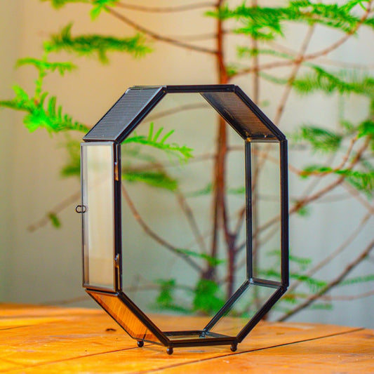 NCYP Glass Enclosure Terrarium with Mesh and Door for Jumping Spiders, Snails, Insects - Octagon