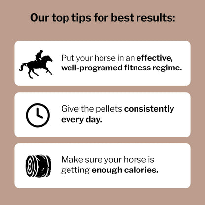Formula 707 MuscleMx Equine Supplement, 10 lb Bag – Conditioning Support and Muscle Builder for
