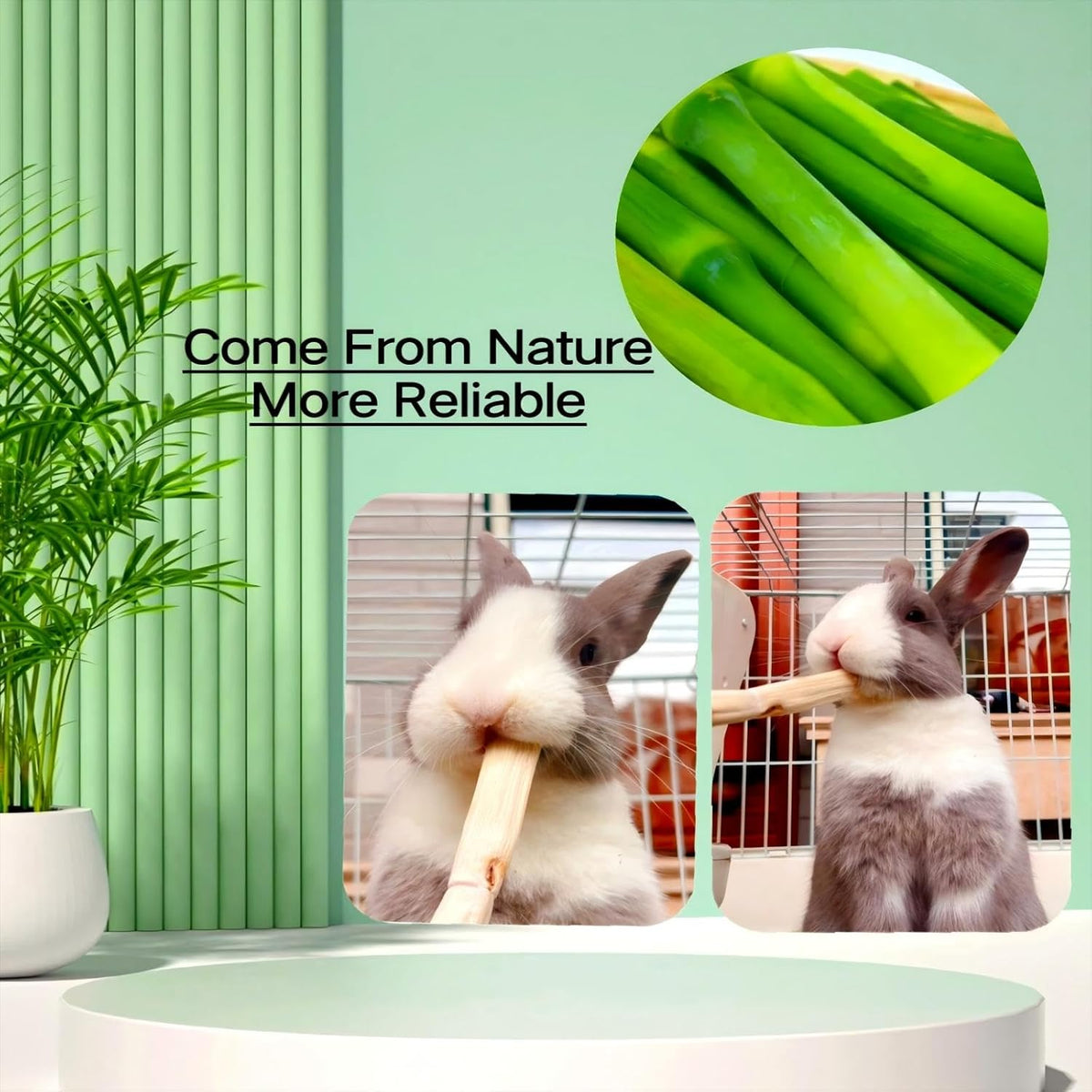 300g Snacks Sweet Bamboo Chew Toy for Rabbits Chew Sticks for Hamster Chinchilla Guinea Pig,Molar