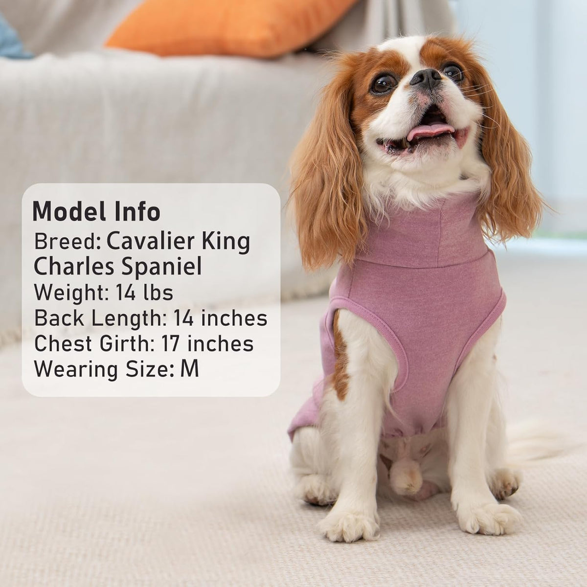 KYEESE 2Pack Dog Sweater Soft Dogs Clothes Warm Dachshund Clothes Turtleneck Pets Coats Dog