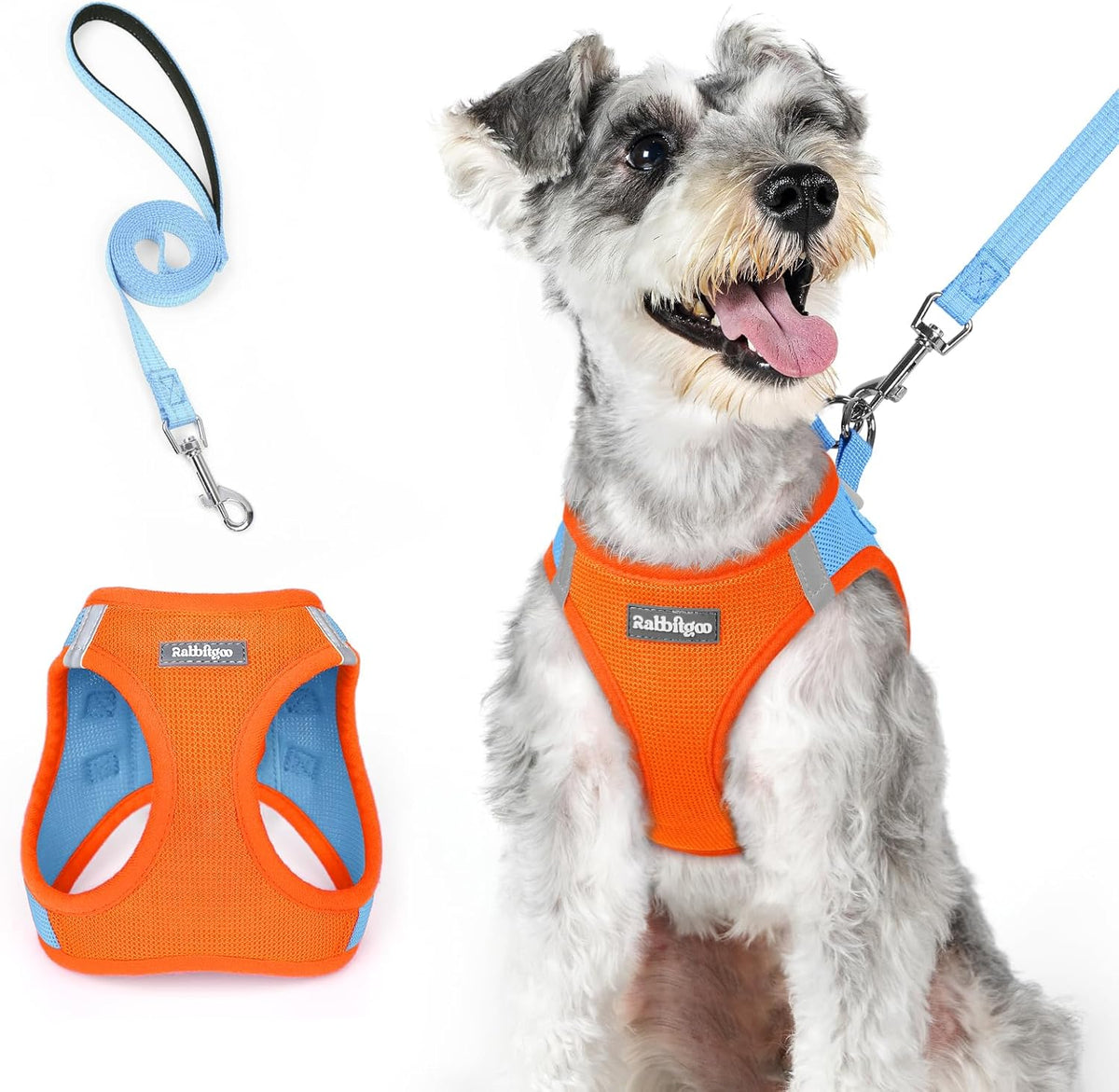 rabbitgoo Dog Harness Small Medium Sized and Leash Set, Step in Soft Light Puppy Vest, Breathable