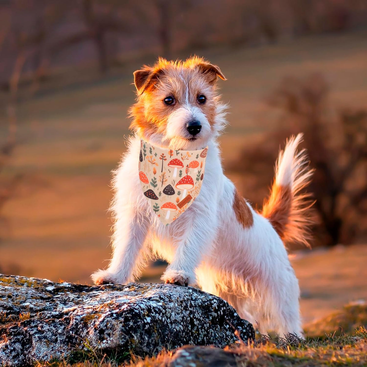PTDECOR Fall Dog Bandana, Pumpkin Mushroom Design Scarf Reversible Holiday Dog Scarf, Triangle