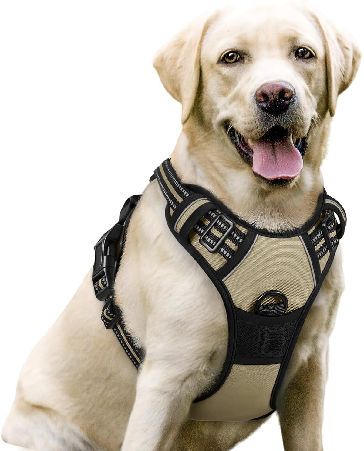 rabbitgoo Dog Harness No Pull with 2 Leash Clips, Adjustable Soft Padded, Reflective Oxford No