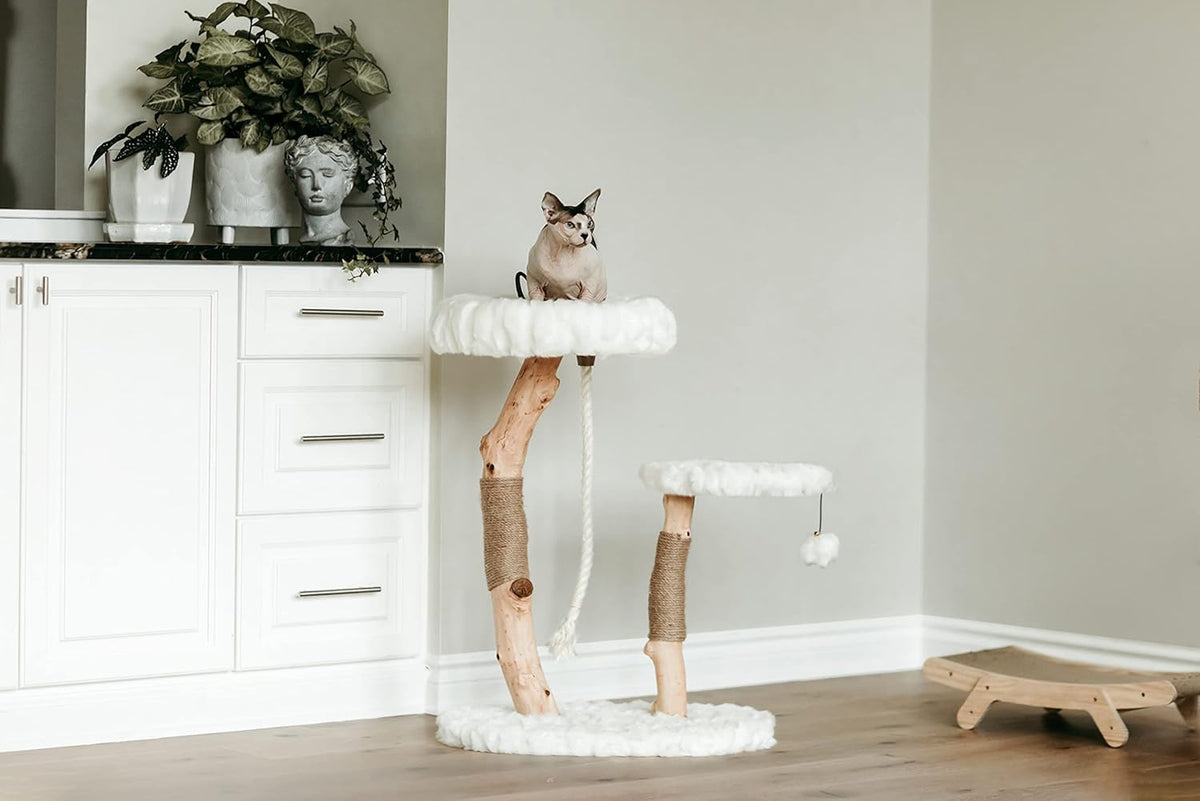 Mau Lifestyle Luxury Cat Tree: Modern Cat Condo & Luxury Wood Cat Tower; Natural Branch Scratching