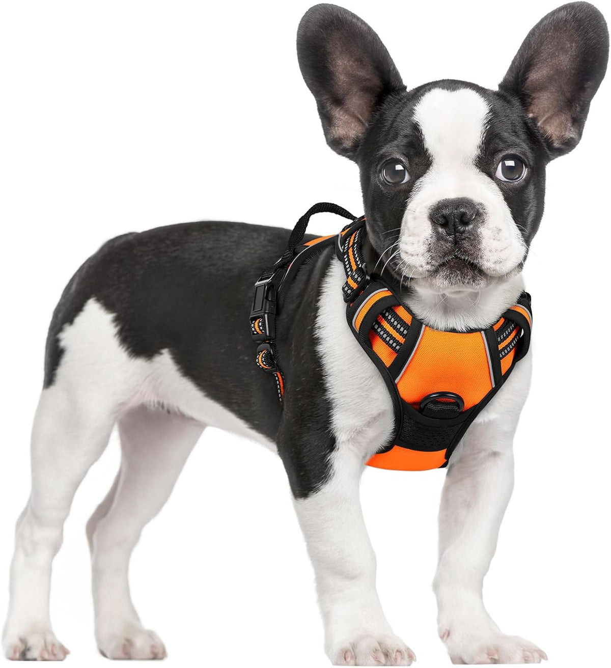 rabbitgoo Dog Harness No Pull with 2 Leash Clips, Adjustable Soft Padded, Reflective Oxford No