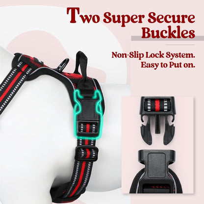 rabbitgoo Dog Harness No Pull with 2 Leash Clips, Adjustable Soft Padded, Reflective Oxford No