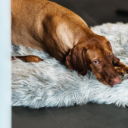IHAPPYDOG Luxury Faux Fur Orthopedic Dog Bed, Memory Foam Dog Bed for Small, Medium, Large and XL