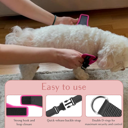 Comfort Fit Dog Harness Soft Padded No Pull Harness with Adjustable Buckles for Small Medium Large