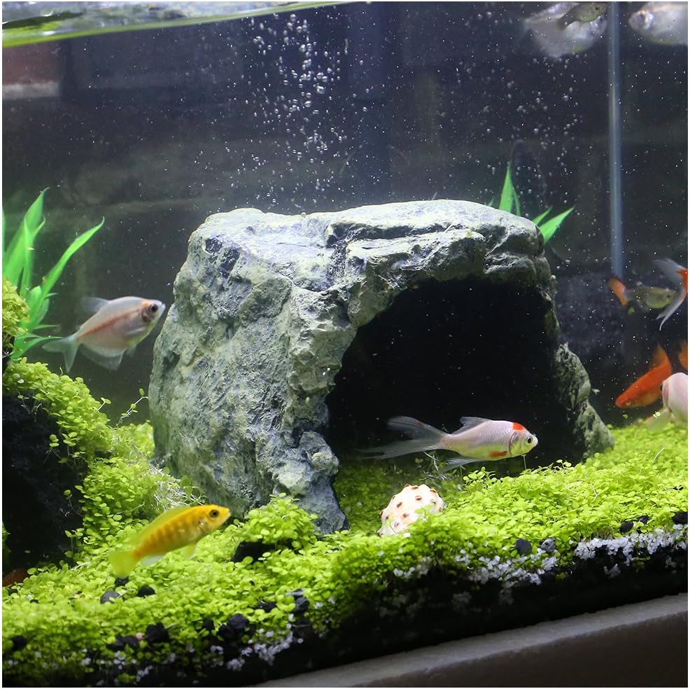 Reptile Rock Hide Cave - World 9.99 Mall Reptile Rock Hide Habitat Decoration|Natural,Non-Toxic