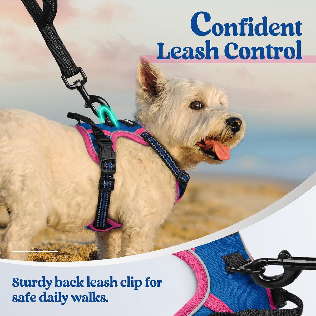 rabbitgoo Dog Harness No Pull with 2 Leash Clips, Adjustable Soft Padded, Reflective Oxford No