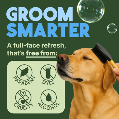 TropiClean Hypoallergenic Waterless Dog Shampoo | Dry Shampoo for Allergies & Sensitive Skin | Safe